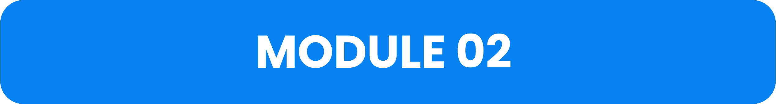 Module 02 Image